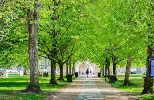 Mallard Cottage - Foto 25