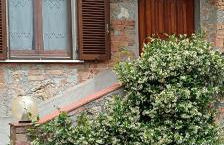 L'oca Nera - Foto 76