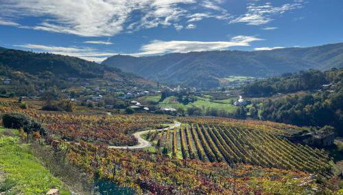 Casa Catalina - Ribeira Sacra - Foto 2