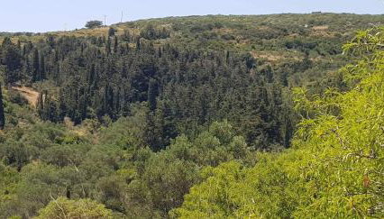 LOURANTIANIKA HOUSE - Foto 2