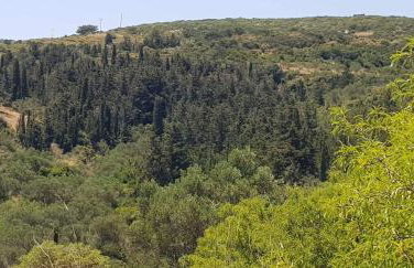 LOURANTIANIKA HOUSE - Foto 2