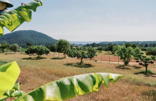 Can Pep Gibert - Foto 65