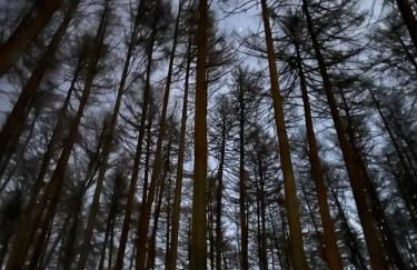 Premium Apartment am Haidersee und Reschensee - Resort Haideralm Schöneben - Foto 70