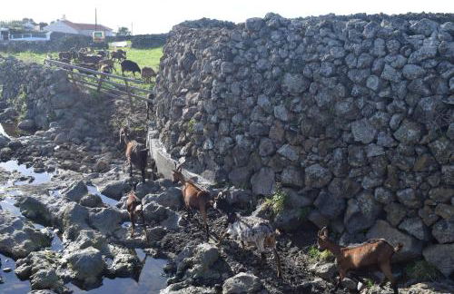 Casas da Ribeira - Photo 45