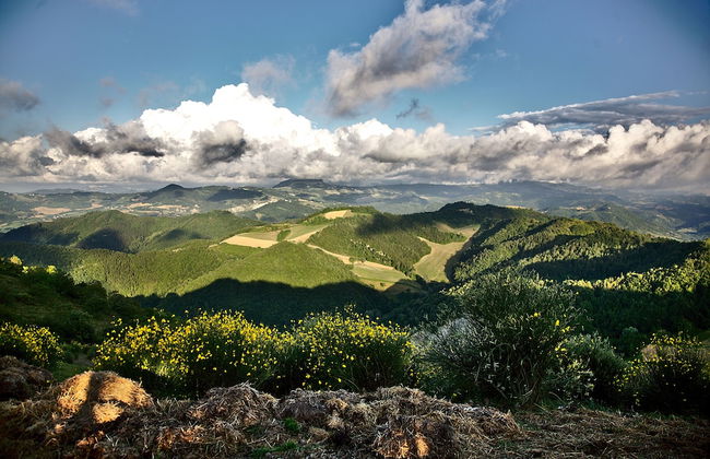 Agriturismo Il Pagliaio - Foto 25