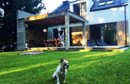 ArtHouse Pelnik - Photo 28