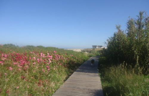 House In Aguda Beach, praia da Aguda, - Foto 30