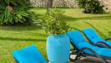 Azzurra Home-Charming Property- For 6 guests - Foto 5, sunbed, Garden view