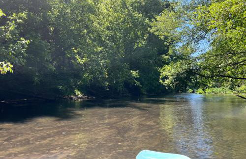 Leśna Oaza Radawa - Foto 26