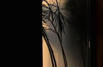 Eichler Mid Century Modern Designer Pool/Jacuzzi - Foto 7