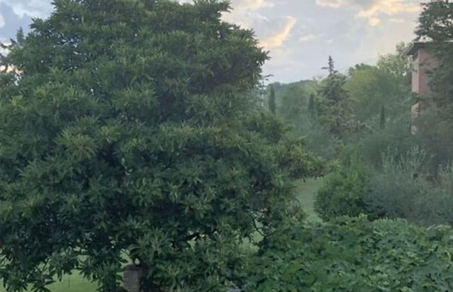 Casa La Fonte - Olivastra - Foto 18