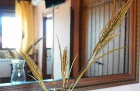 Casa Rural Vallecasar - Foto 30