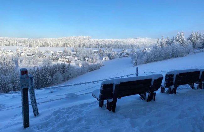 Detached Holiday Home in Sauerland near Winterberg with Terrace & Garden - Foto 24