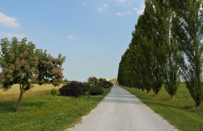 Agriturismo Millefiori Corte delle Rose - Foto 42