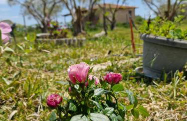 Dream in Chalkidiki 2 bedroom villa with garden - Foto 28