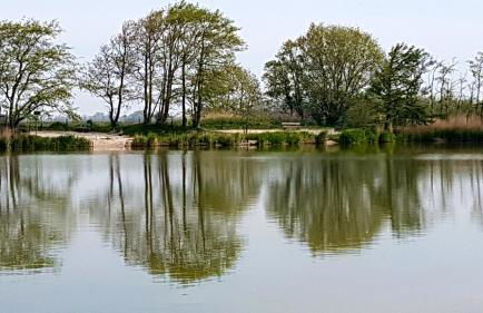 Haus am Meer Eckwarden - Foto 16