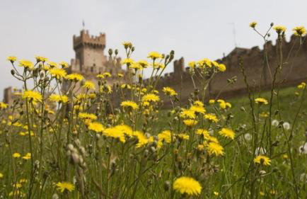 The Comfort Apartment - Photo 3