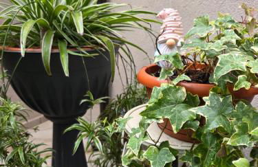 Appartamento Teodorico Ravenna - Foto 12