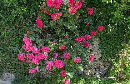 Le Romarande, Cottage détente avec SPA privatif - Foto 12