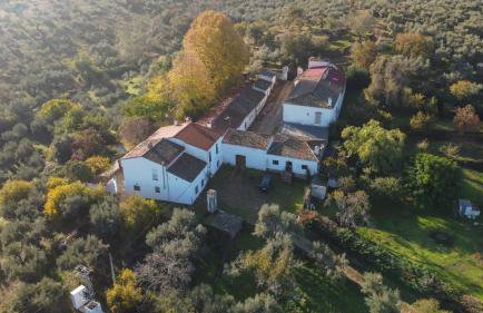 Cortijo San Julián - Foto 54