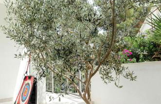 Summer House Bougainvillea by Dubrovnik Colors - Foto 58