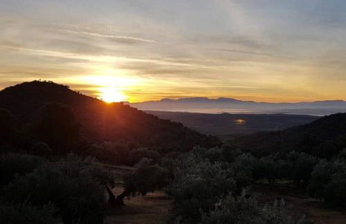 Viña Las Olivas - Foto 22