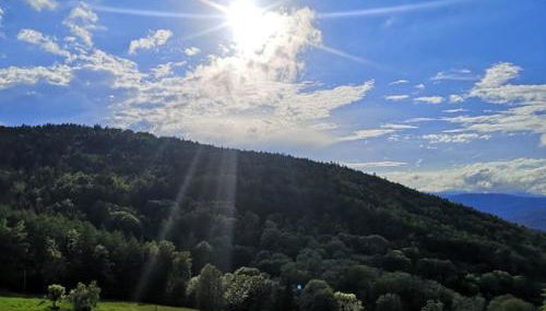 Ferienland Sonnenwald Studio 50 - Photo 4