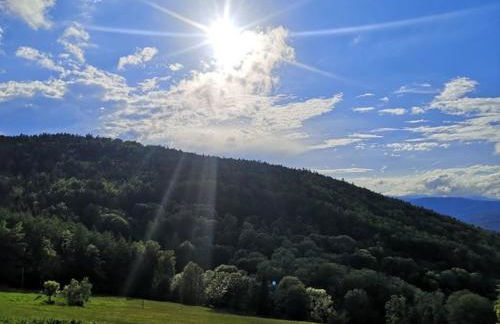 Ferienland Sonnenwald Studio 50 - Foto 4