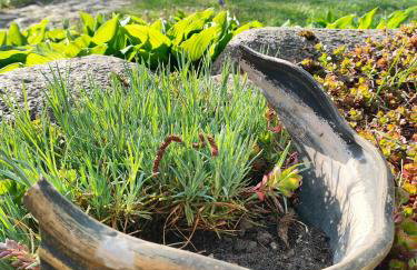 Domek Kutowa - Foto 6