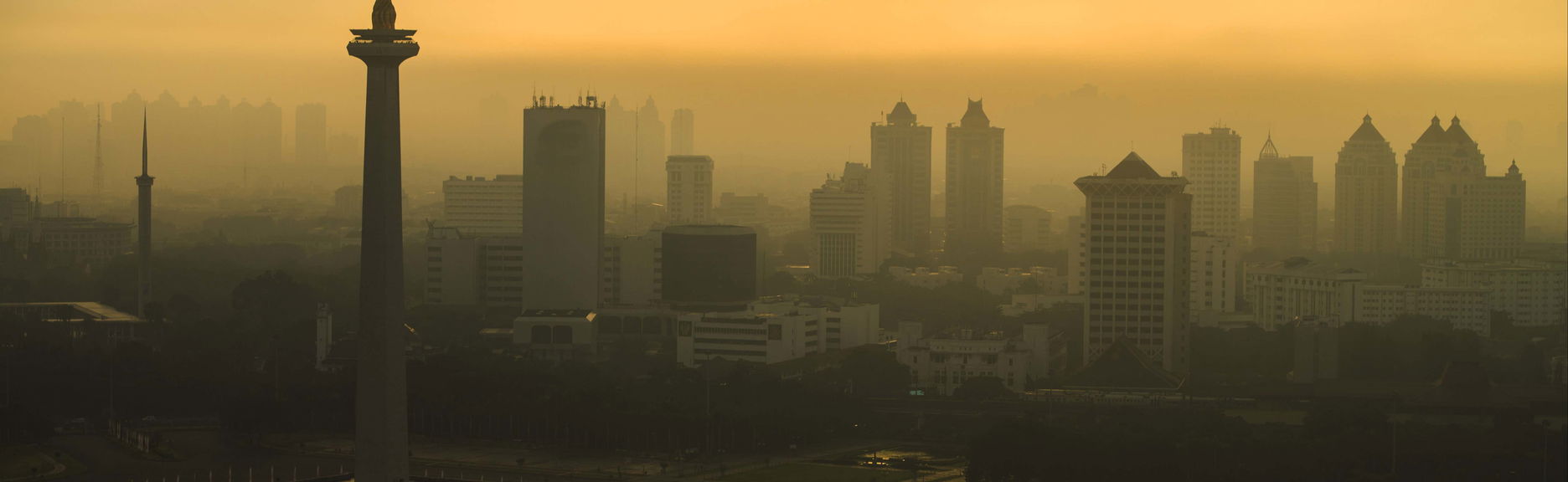 Visite privée dans Jakarta