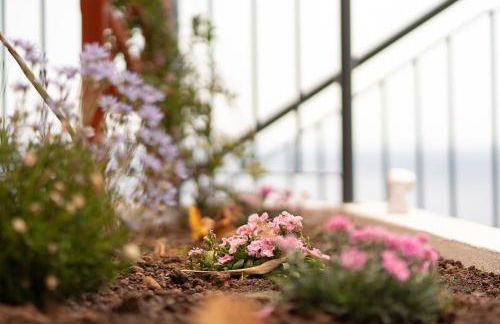 Seasky Arco - Foto 11