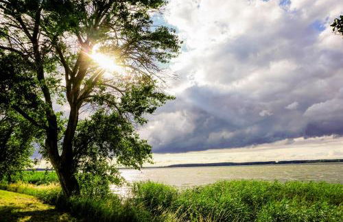 Lerchenhof in Reestow - Foto 61