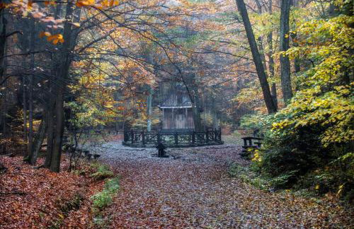 Apartament Leśny Taras z KLIMATYZACJĄ & Garaż podziemny w cenie-728-828-835- Targi Kielce - Foto 77