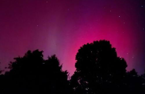 Private Chalet with Fire Pit Deck and Large Yard - Foto 47