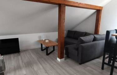 Włostowicka Ostoja Apartament - Foto 7