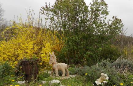 Antica Dimora - Foto 10