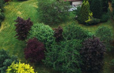 FAMILY FRIENDLY, HOT TUB, Fire Pit, Spacious & Modern - Foto 18