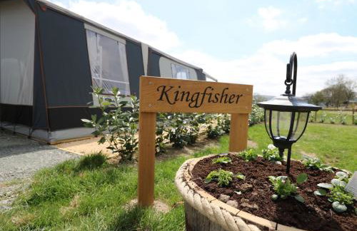 King Fisher - Foto 9