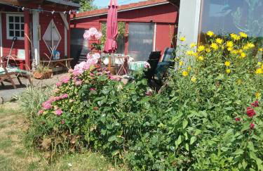 ostseeurlaub-asmussen - Foto 6