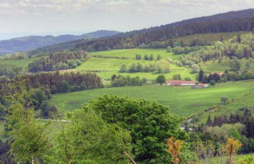 Gîte confortable pour 6 près des pistes, animaux admis - FR-1-496-138 - Foto 19