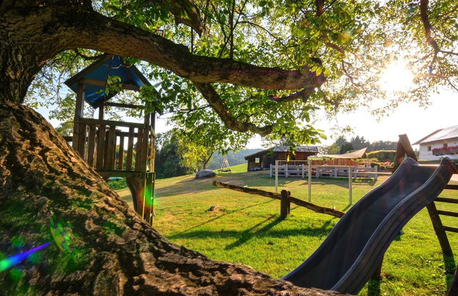 Dienbergerhof - Foto 18