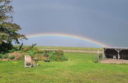 Ferienwohnungen Das Finkhaus - Foto 15