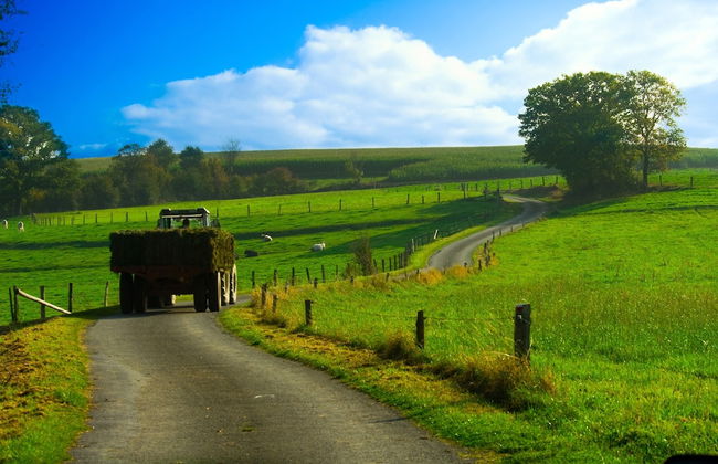 Holiday Home in Hotton Near Caves of Hotton - Foto 27