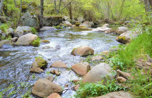 Trout River Cabin - Cozy Quiet Peaceful Retreat - Foto 10