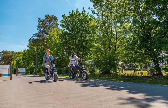 Modern Chalet Near De Veluwe National Park - Foto 17
