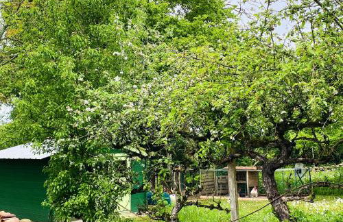 Villa spacieuse à Prailles-La Couarde avec piscine privée 100 m² ! - Foto 54