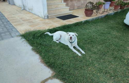 Asterios House - Foto 38