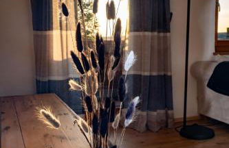 Panoramaapartment am Ochsenkopf - Foto 3