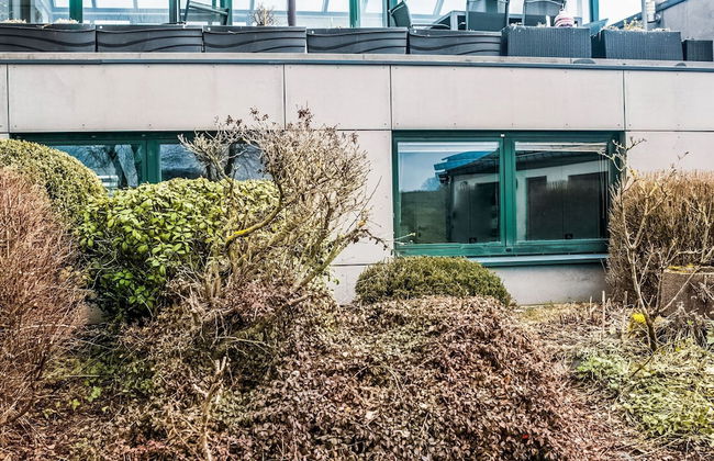 Cottage in Vaux-sur-sure With Garden - Foto 1