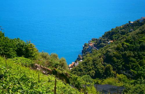 Villa En Rose - Foto 23